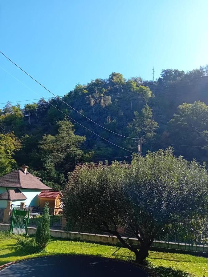 Rekreacni Chata Kocaba Stechovice  Exterior photo